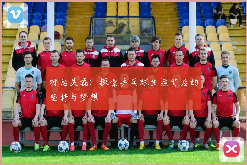 对话吴磊：探索乒乓球生涯背后的坚持与梦想
