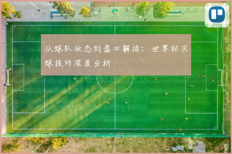 从球队状态到盘口解读：世界杯买球技巧深度分析