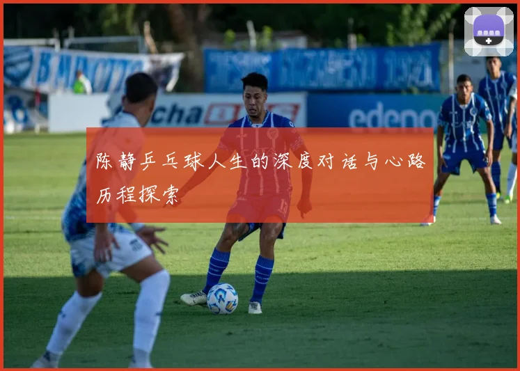 陈静乒乓球人生的深度对话与心路历程探索