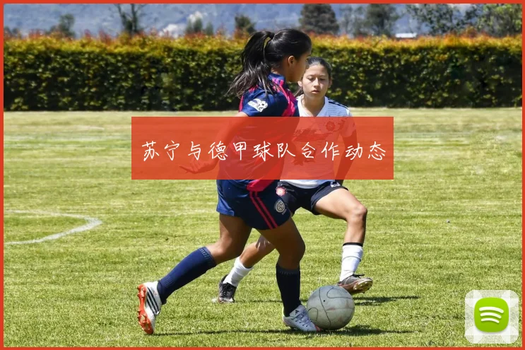 苏宁与德甲球队合作动态